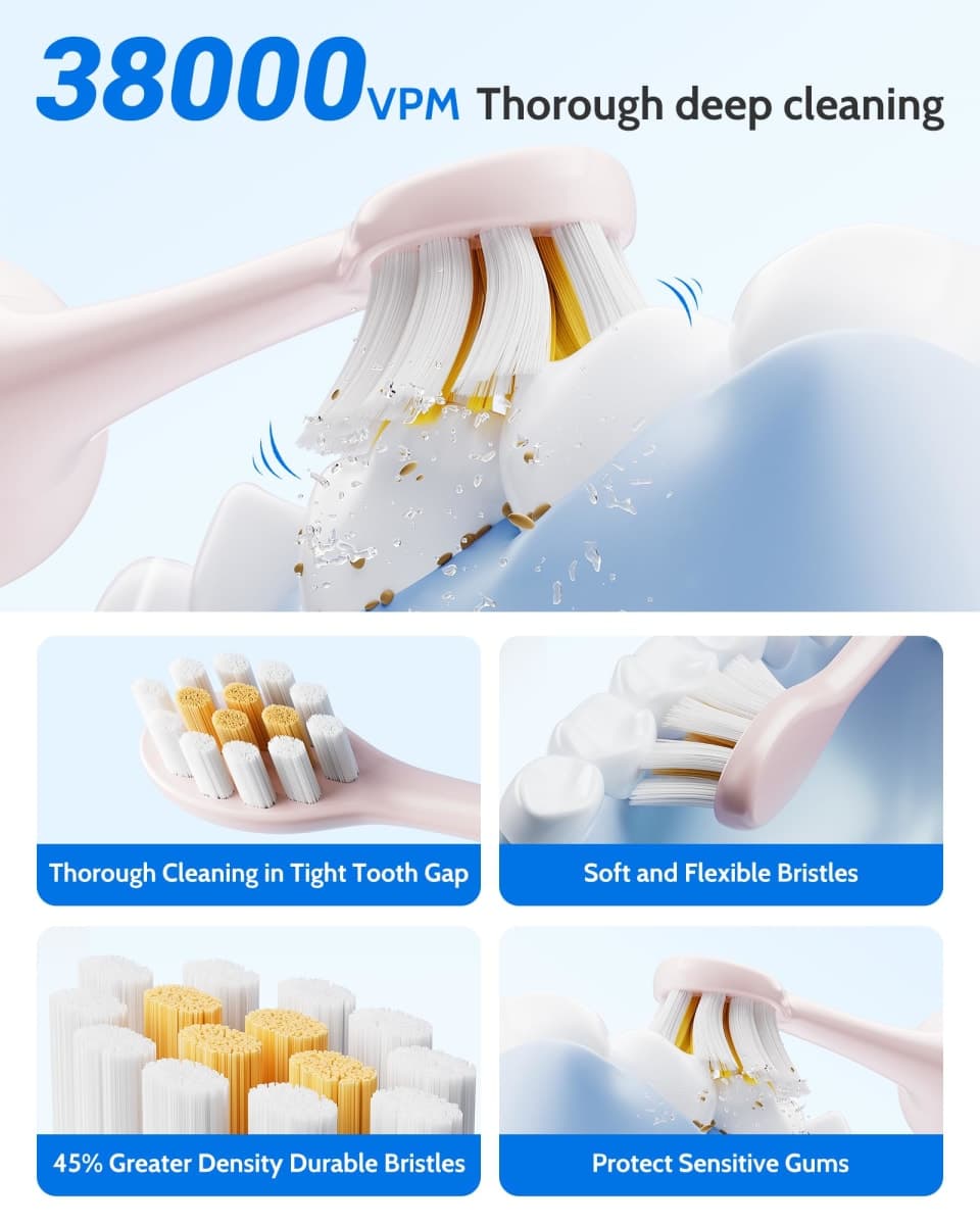 CindyLary 2 Pack Electric Toothbrush Set, Comes with 12 Brush Heads & 2 Electric Toothbrush,5 Modes with 2 Minutes Built in Smart Timer, One Charge for 60 Days, 38000 VPM Motor,Black and Pink. thumbnail 3